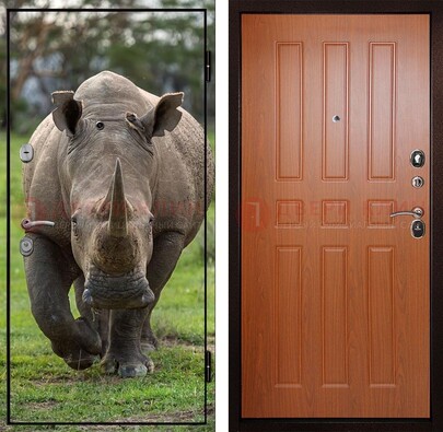 Металлическая дверь с фотопечатью носорога ДФ-31 в Пензе