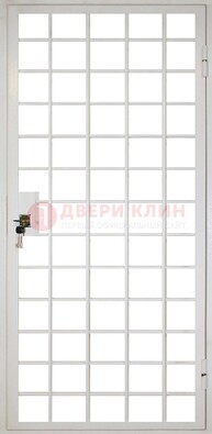 Белая металлическая решетчатая дверь ДР-2 в Пензе