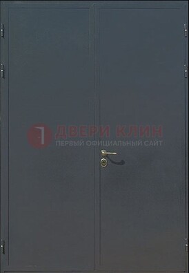 Двухстворчатая техническая дверь ДТ-5 в Пензе