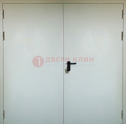 Белая металлическая техническая дверь ДТ-8 в Пензе